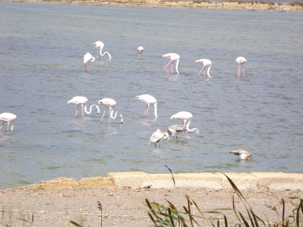 Case Vacanza Torre Lupa Marsala Kamer foto